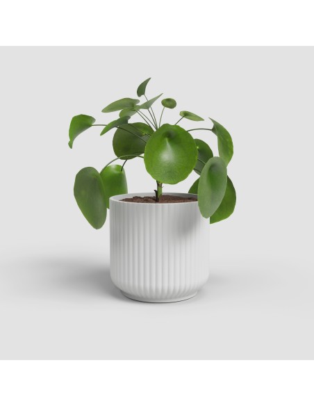 MACETA LUNA 14CM  MA BLANCO