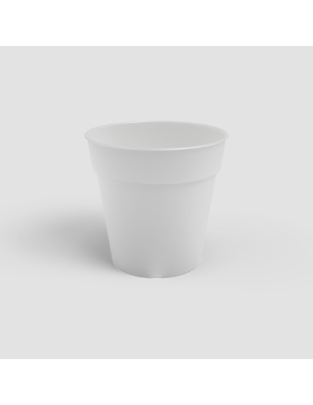 Maceta Madagascar 19 cm Transparente para Producción y Trasplante de Orquídeas