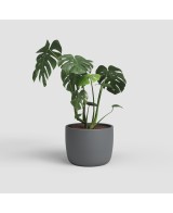 Maceta Urania Pot 4L de Cerámica Hecha a Mano | Diseño Artesanal de Portugal

