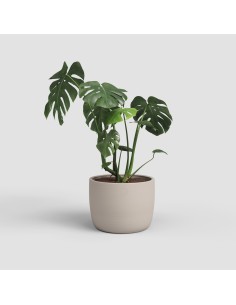 MACETA URANIA 26 MA BEIGE 2