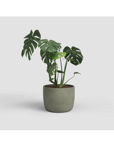 Maceta Urania Pot 7,5L de Cerámica Hecha a Mano | Diseño Artesanal de Portugal

