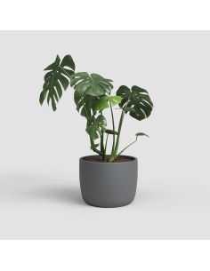 MACETA URANIA 37 MA ANTRACITA 2