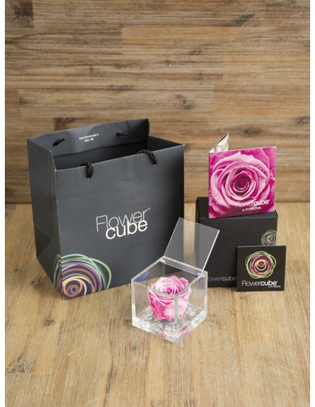 FLOWER CUBE SPECIAL ED ROSA 6X6+PACKAGING PASTEL ROSA