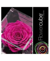 Flowercube Rosa 6x6 Packaging Fucsia Regalo Floral Elegante y Duradero