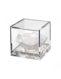 FLOWER CUBE ROSA 6X6 +PACKAGING BLANCO 2