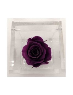 FLOWER CUBE ROSA 6X6+PACKAGING PURPURA 2