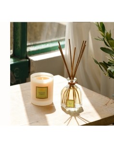 RAMO PERFUMADO 100ML VERBENA 2