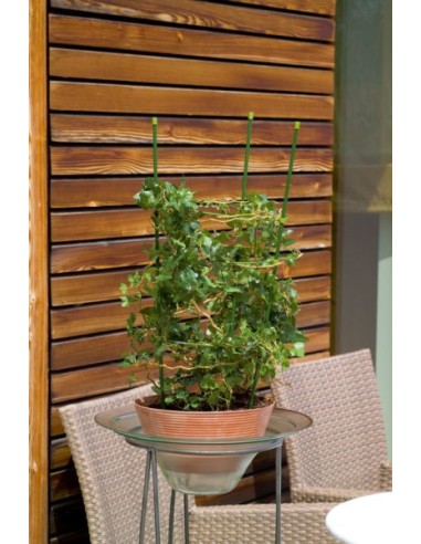 Soportes para Plantas en Macetas 75 cm | Acero Recubierto de Plástica