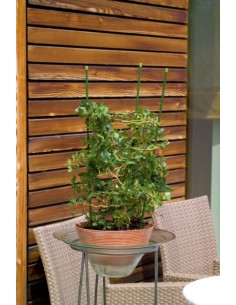 Soportes para Plantas en Macetas 60 cm  Acero Recubierto | Endanea Garden 2