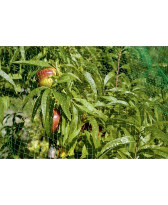Malla Antipájaros 2x10 Stocker  Protección Durable para Jardín y Cultivos