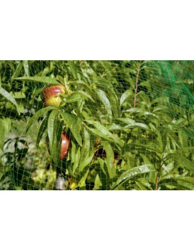 Malla Antipájaros 2x10 Stocker  Protección Durable para Jardín y Cultivos