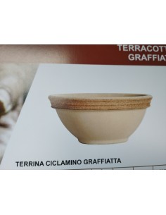 TARRINA CICLAMINADO VULCANO 23