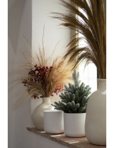 Maceta Sita Air Blanco 13.5x13 cm | Cerámica Elegante para Plantas de Interior 2