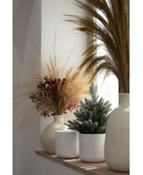 Maceta Sita Air Blanco 13.5x13 cm | Cerámica Elegante para Plantas de Interior

