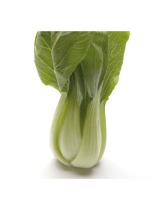 PAK CHOI PACK 12