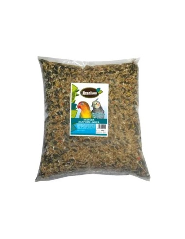 BRADIUM MIXTURA AGAPORNIS Y NINFAS