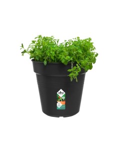 Maceta G.B. Growpot 24CM Negro - Elegante y Funcional para Todas tus Plantas | Endanea Garden 2