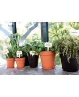 Maceta G.B. Growpot 40 cm Negro - Ideal para Cultivo en Interior y Exterior | Endanea Garden

