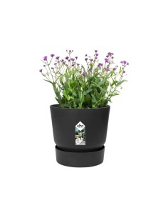 Maceta Redonda Greenville Negro 18 cm | Elegante y Funcional para Interiores y Exteriores | Endanea Garden 2