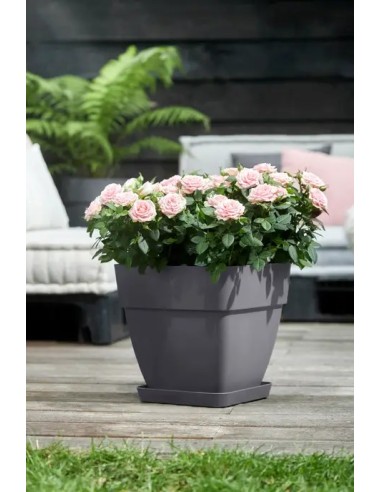 Plato Loft Cuadrado 38 cm Antracita | Endanea Garden