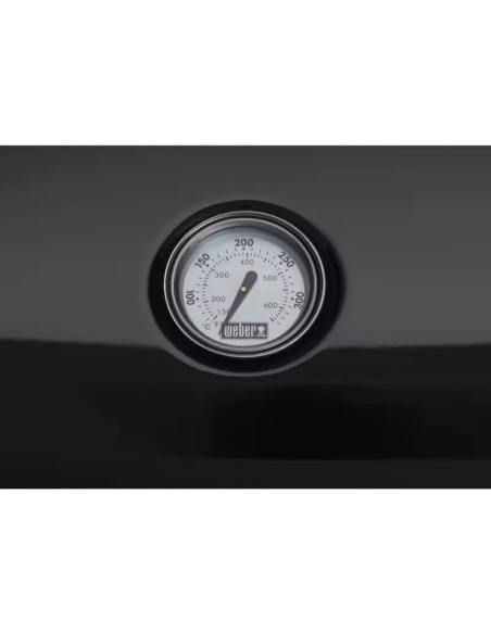 Barbacoa Eléctrica Weber Lumin con Soporte | Alta Temperatura, Versatilidad y Diseño Compacto

