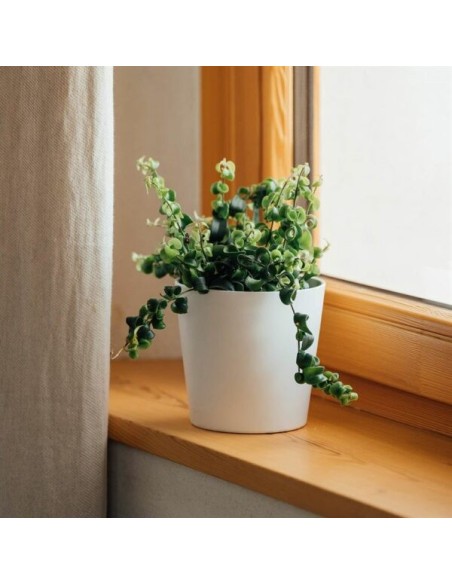 MACETA  COMETA 11X11.5CM BLANCO