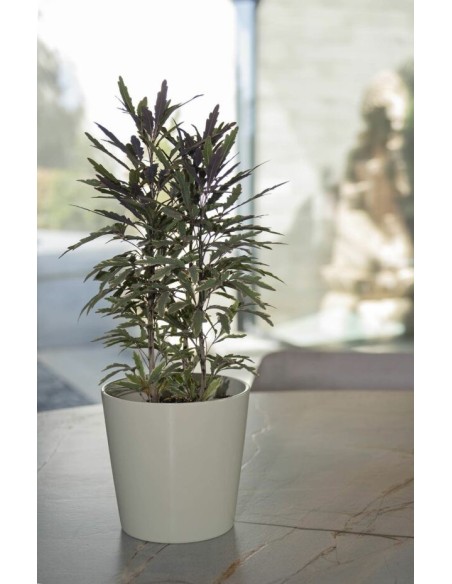 Maceta Cometa Blanco 20.5x20.5 cm  Diseño Minimalista y Durable para Plantas

