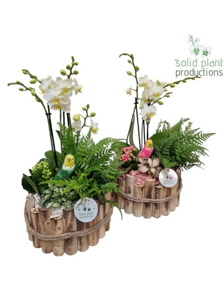 Composición floral COMPO SUMMER M30 para verano decoración de interiores y exteriores