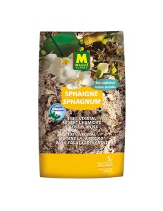 Musgo Sphagnum 5L Massó | Sustrato natural para orquídeas y bonsáis