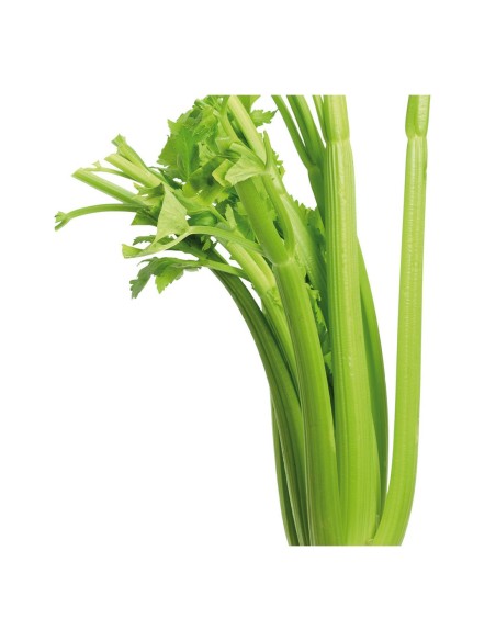 APIO VERDE PACK 6