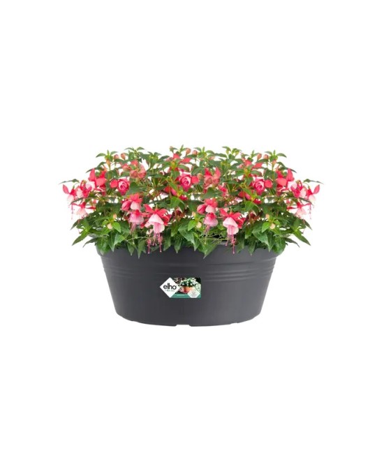 Maceta G.B. Bol Negro 38 cm - Elegante y Resistente para Jardín y Interior | Endanea Garden


