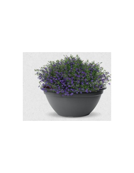 CUENCO ORIGINAL 34CM ANTRACITA