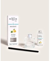 BOUQUET PERFUMADO ZESTE VERVEINE