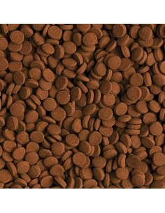 CARNIVOROS DE FONDO 500 2