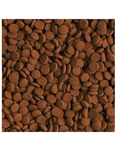 CARNIVOROS DE FONDO 500