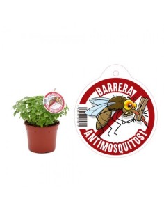 AIR GARDEN ALBAHACA ANTIMOSQUITOS