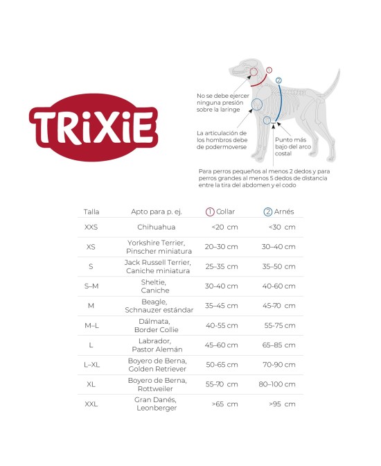 CITYSTYLE Correa para Perros S-M 1,20m x 13mm Salvia | Correa Resistente y Elegante

