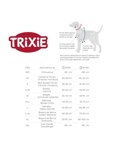 CITYSTYLE Collar Extra Ancho M-L Gris Claro | Resistente, Cómodo y Elegante para Perros Medianos y Grandes

