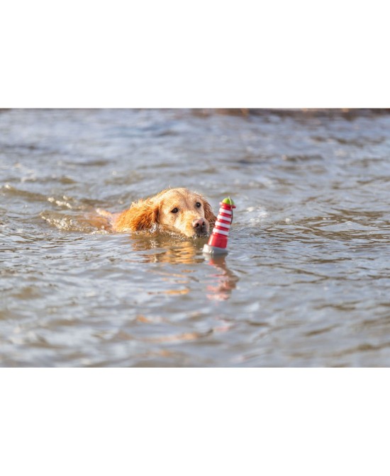 Juguete Acuático Faro con Cuerda 20cm para Perros | Juego Flotante y Resistente

