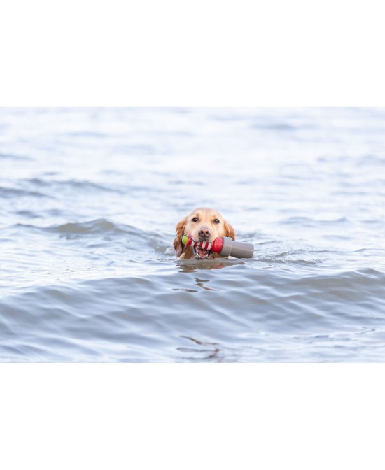 Juguete Acuático Faro con Cuerda 20cm para Perros | Juego Flotante y Resistente

