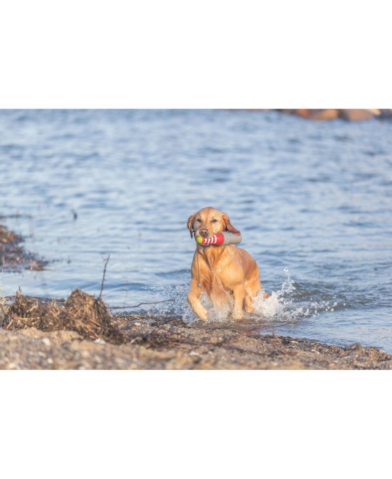 Juguete Acuático Faro con Cuerda 20cm para Perros | Juego Flotante y Resistente

