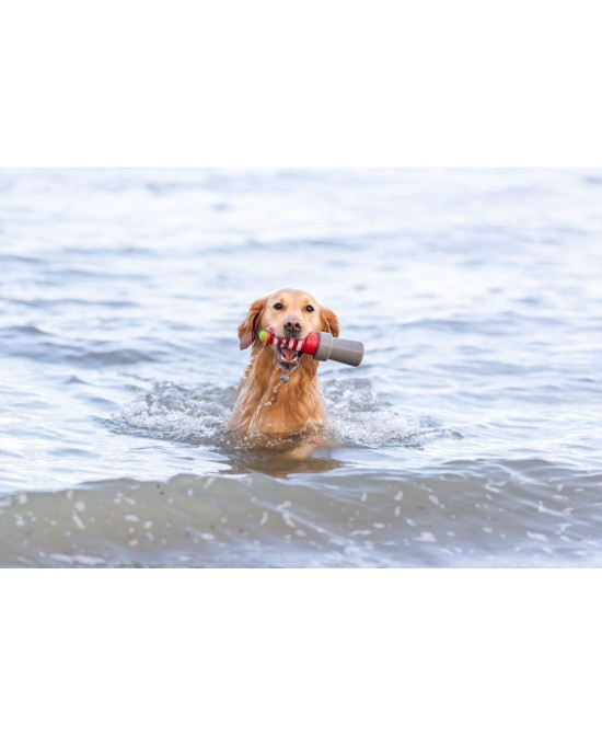 Juguete Acuático Faro con Cuerda 26cm para Perros | Juego Flotante y Resistente

