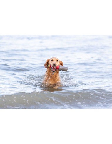 Juguete Acuático Faro con Cuerda 26cm para Perros | Juego Flotante y Resistente

