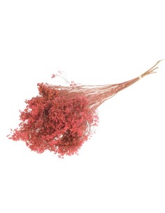 FLOR DE ESCOBA RAMO ROSA