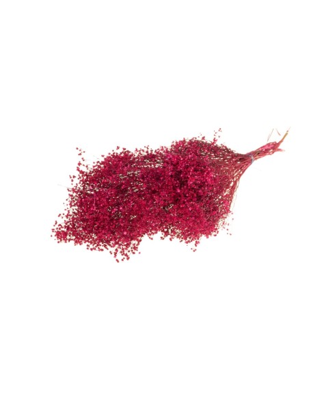 FLOR DE ESCOBA RAMO CEREZA