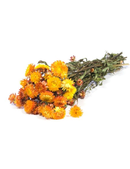 HELICHRYSUM NARANJA NATURAL