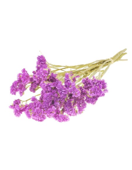 STATICE SINUATA NATURAL ROSA OSCURO