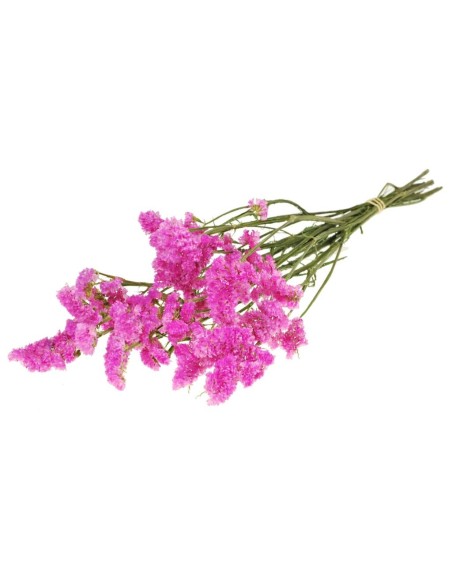 STATICE SINUATA NATURAL PINK