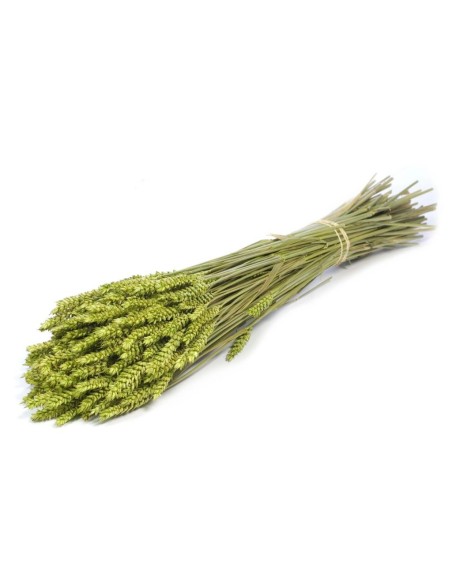 TARWE VERDE