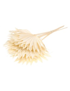 PALMERA SOL RAMO 10PC BLANCO BLANQUEADO